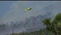 Incendio Vesuvio, la conta dei danni