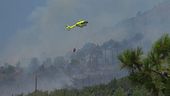 Incendio Vesuvio, la conta dei danni