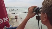 Mare e montagna, tutti in vacanza