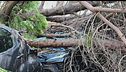 Disastro maltempo in Romagna