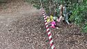 Kaufmann ha ucciso anche Anastasia