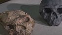 L'homo sapiens più antico del mondo
