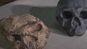 L'homo sapiens più antico del mondo
