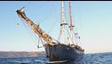 La Flotilla riparte, "Non forzate"