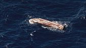 Lampedusa, tragedia di bambini