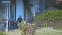 Armi e droga, fermato il trapper