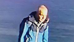 Accoltellatore libero, era innocuo