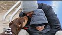 Tom Brady fa clonare il cane