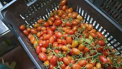 Ue, accordo sulle norme agricole