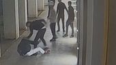 "Il branco potrebbe colpire ancora"