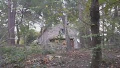 Bimbi nel bosco, il legale rinuncia