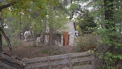 La famiglia del bosco ci ripensa?