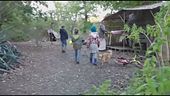 Una casa per la famiglia nel bosco