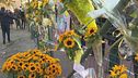 La protesta dei girasoli per Ale