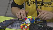 Cubo di Rubik, la sfida a Treviglio