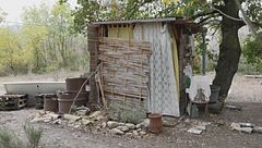 Bimbi del bosco a casa per Natale?