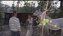 Bimbi nel bosco, vigilia separati
