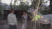Bimbi nel bosco, vigilia separati