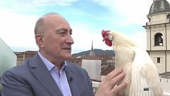 Le illusioni di mago Alexander