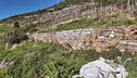 L'antica arte dei muretti a secco nel Parco delle Cinque Terre