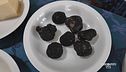 Il tartufo della Lunigiana