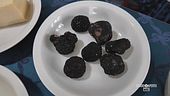 Il tartufo della Lunigiana
