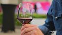 Asti, città del buon vino