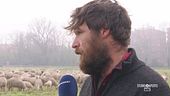 Il sogno di Morgan