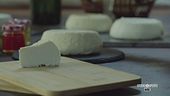 Il formaggio Roccaverano
