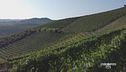 L'Alta Langa Docg