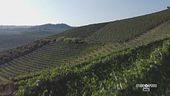 L'Alta Langa Docg