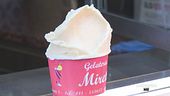 A Torino nasce il sorbetto alla birra