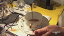 L'Accademia del caffè