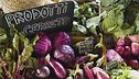 In Toscana alla scoperta della cucina vegetariana
