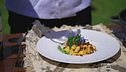 Tour enogastronomico all'Isola d'Elba