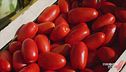 Il pomodoro