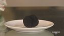 Il tartufo regale