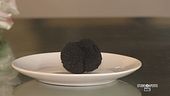 Il tartufo regale