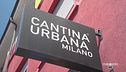 Il vino prodotto in città