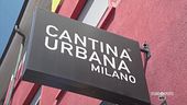 Il vino prodotto in città