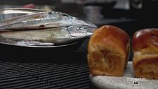 Il pesce suro protagonista in cucina