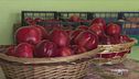 Due nettarine d'eccezione