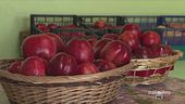Due nettarine d'eccezione