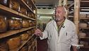 Il formaggio pecorino