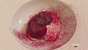 Un omaggio alla memoria gastronomica italiana ed emiliana