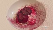 Un omaggio alla memoria gastronomica italiana ed emiliana