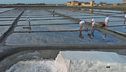 Dal mare l'ingrediente più usato: il sale