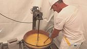 La sagra della polenta di Perticara