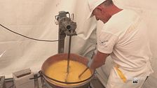 La sagra della polenta di Perticara