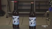 Un laboratorio di birra